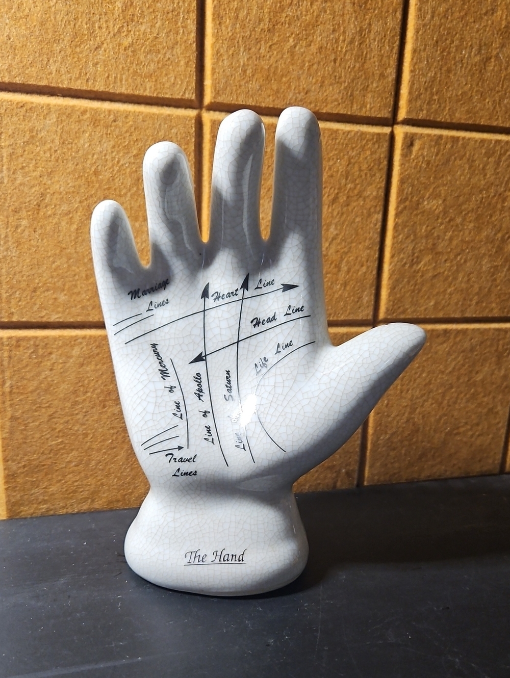 Vintage Hand Palmistry